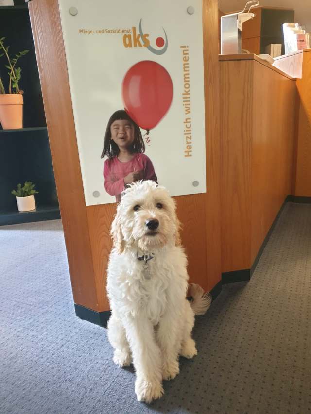 aks Feelgood Manager