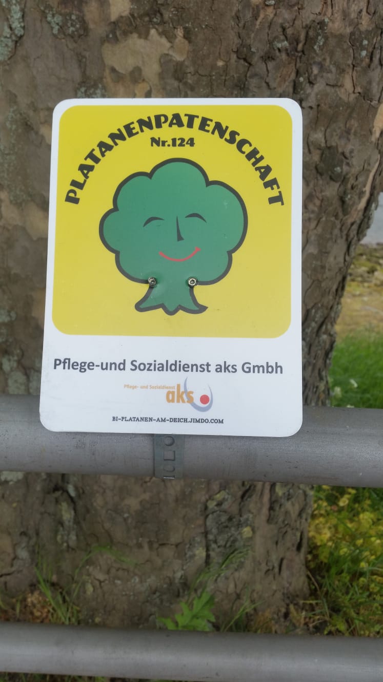 Platenanepatenschaft