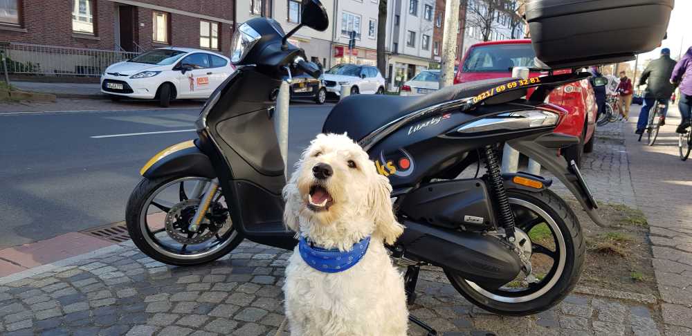 Charly begrüßt die neuen Roller